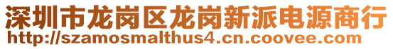 深圳市龍崗區(qū)龍崗新派電源商行