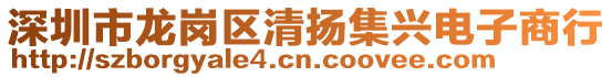 深圳市龍崗區(qū)清揚集興電子商行