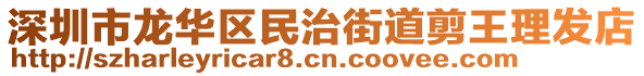 深圳市龍華區(qū)民治街道剪王理發(fā)店