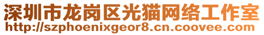 深圳市龍崗區(qū)光貓網(wǎng)絡(luò)工作室