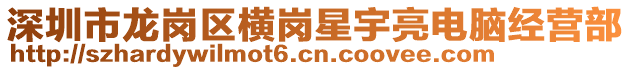 深圳市龍崗區(qū)橫崗星宇亮電腦經(jīng)營(yíng)部