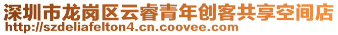 深圳市龍崗區(qū)云睿青年創(chuàng)客共享空間店