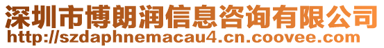 深圳市博朗潤(rùn)信息咨詢(xún)有限公司