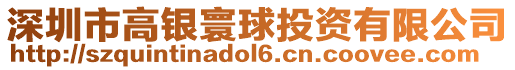 深圳市高銀寰球投資有限公司
