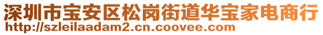 深圳市寶安區(qū)松崗街道華寶家電商行