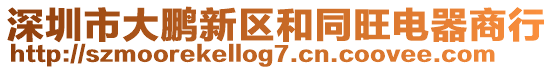 深圳市大鵬新區和同旺電器商行