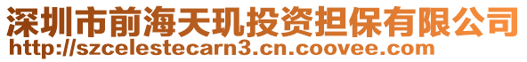 深圳市前海天璣投資擔保有限公司