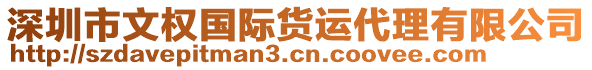 深圳市文權(quán)國際貨運(yùn)代理有限公司