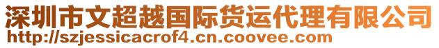 深圳市文超越國(guó)際貨運(yùn)代理有限公司