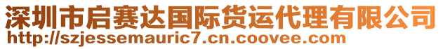深圳市啟賽達國際貨運代理有限公司