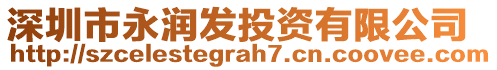 深圳市永润发投资有限公司