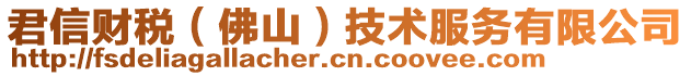 君信財稅（佛山）技術(shù)服務(wù)有限公司