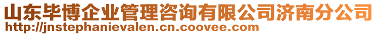 山東畢博企業(yè)管理咨詢有限公司濟南分公司