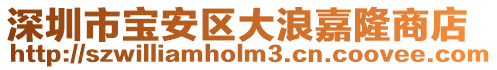 深圳市宝安区大浪嘉隆商店