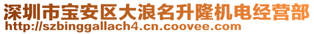 深圳市寶安區(qū)大浪名升隆機電經(jīng)營部