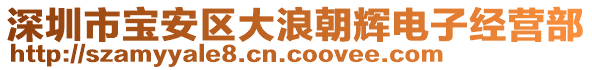 深圳市寶安區(qū)大浪朝輝電子經(jīng)營(yíng)部