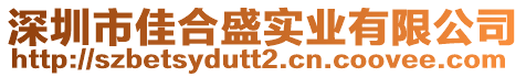 深圳市佳合盛實業有限公司