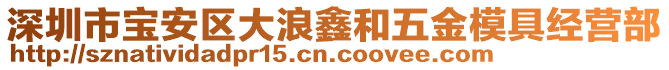 深圳市寶安區(qū)大浪鑫和五金模具經(jīng)營(yíng)部