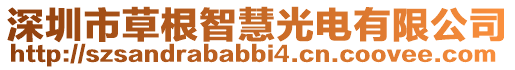 深圳市草根智慧光電有限公司