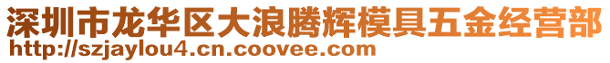 深圳市龍華區(qū)大浪騰輝模具五金經(jīng)營部