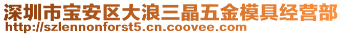 深圳市寶安區大浪三晶五金模具經營部