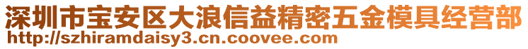 深圳市寶安區(qū)大浪信益精密五金模具經(jīng)營部