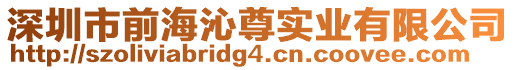 深圳市前海沁尊實(shí)業(yè)有限公司