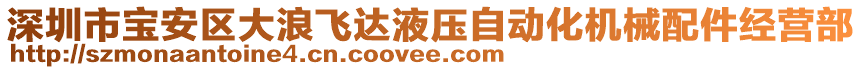 深圳市寶安區(qū)大浪飛達液壓自動化機械配件經(jīng)營部