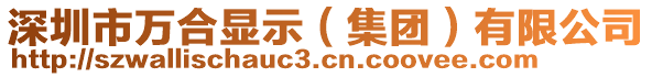 深圳市萬(wàn)合顯示（集團(tuán)）有限公司