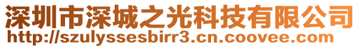 深圳市深城之光科技有限公司