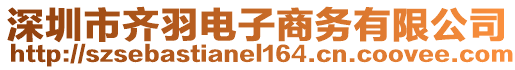 深圳市齊羽電子商務(wù)有限公司