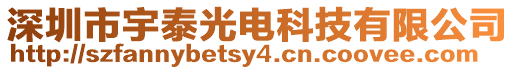 深圳市宇泰光電科技有限公司