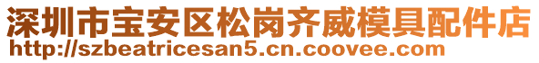 深圳市寶安區(qū)松崗齊威模具配件店