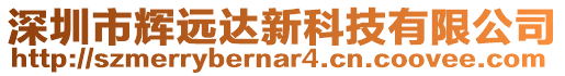 深圳市辉远达新科技有限公司