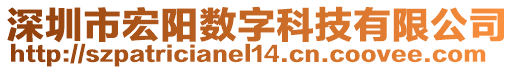 深圳市宏陽(yáng)數(shù)字科技有限公司