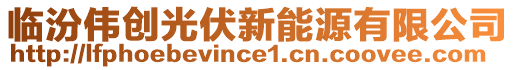 臨汾偉創(chuàng)光伏新能源有限公司