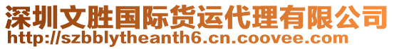 深圳文勝國際貨運代理有限公司