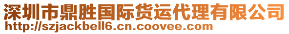 深圳市鼎勝國際貨運代理有限公司