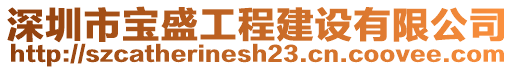 深圳市宝盛工程建设有限公司