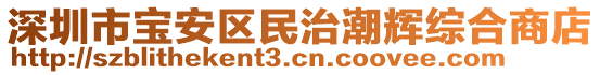 深圳市寶安區(qū)民治潮輝綜合商店