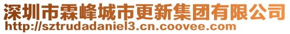 深圳市霖峰城市更新集團(tuán)有限公司