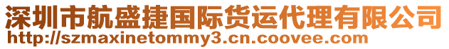 深圳市航盛捷國(guó)際貨運(yùn)代理有限公司