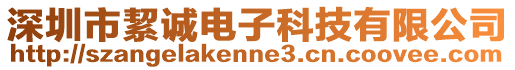 深圳市絜誠電子科技有限公司