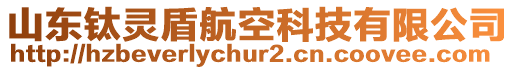 山東鈦靈盾航空科技有限公司