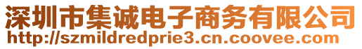 深圳市集誠電子商務有限公司