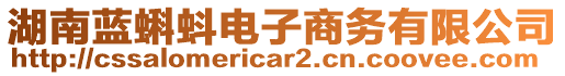 湖南藍(lán)蝌蚪電子商務(wù)有限公司