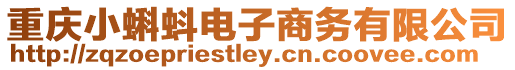 重慶小蝌蚪電子商務有限公司