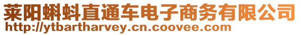 萊陽(yáng)蝌蚪直通車(chē)電子商務(wù)有限公司