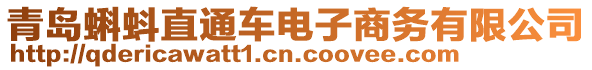 青島蝌蚪直通車電子商務(wù)有限公司