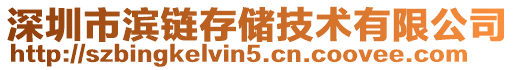 深圳市濱鏈存儲(chǔ)技術(shù)有限公司